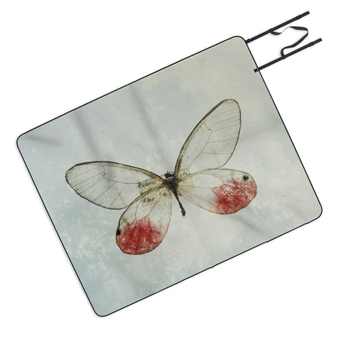 Chelsea Victoria Shades Of Butterfly Picnic Blanket