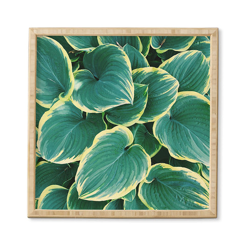Chelsea Victoria Some Like It Hosta Framed Wall Art