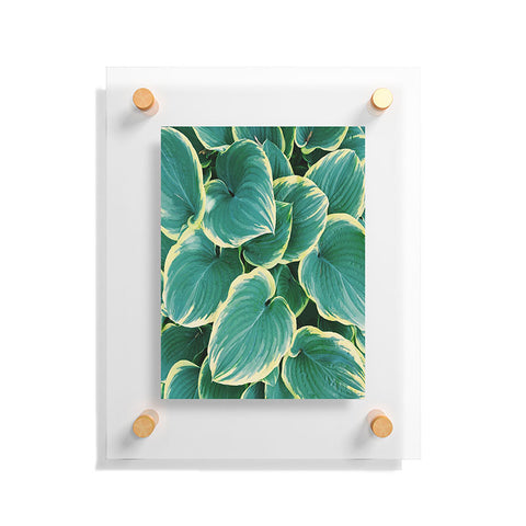 Chelsea Victoria Some Like It Hosta Floating Acrylic Print