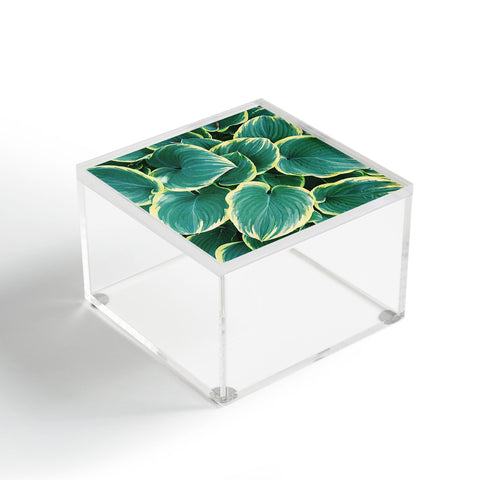 Chelsea Victoria Some Like It Hosta Acrylic Box