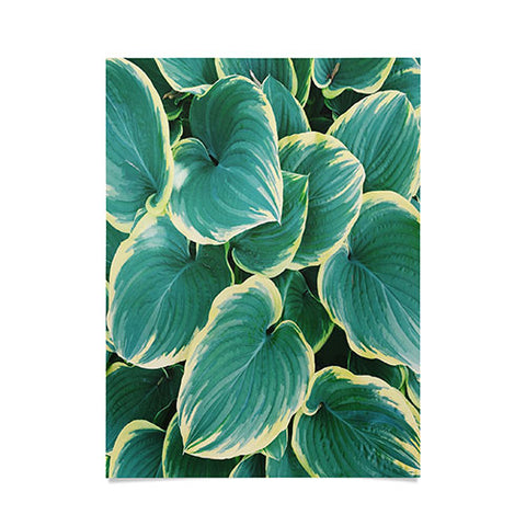Chelsea Victoria Some Like It Hosta Poster