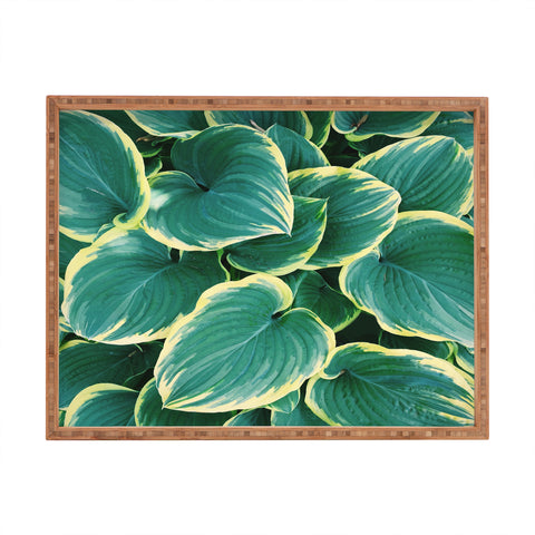 Chelsea Victoria Some Like It Hosta Rectangular Tray