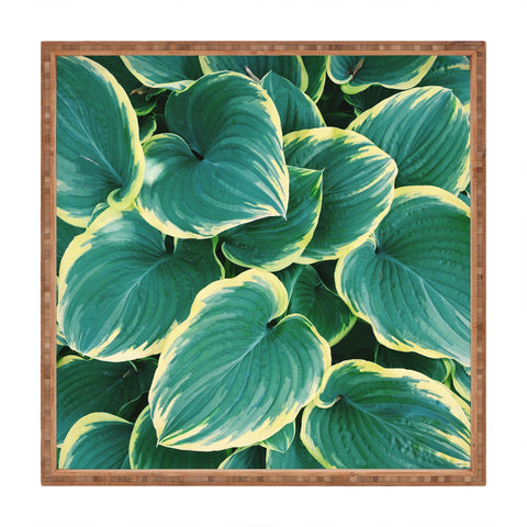 Chelsea Victoria Some Like It Hosta Square Tray