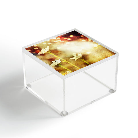 Chelsea Victoria Something Wicked Acrylic Box