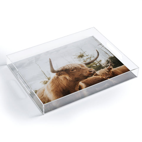 Chelsea Victoria Statuesque Highland Cow Acrylic Tray