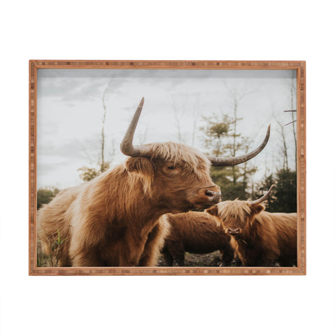 Chelsea Victoria Statuesque Highland Cow Rectangular Tray