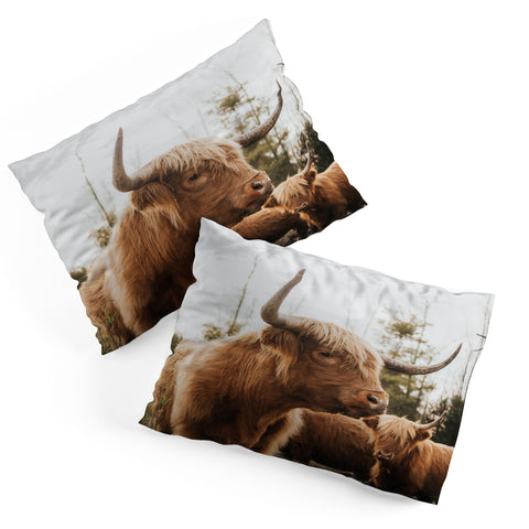 Chelsea Victoria Statuesque Highland Cow Pillow Shams