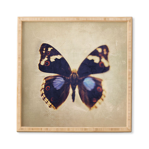 Chelsea Victoria Still Flight Framed Wall Art