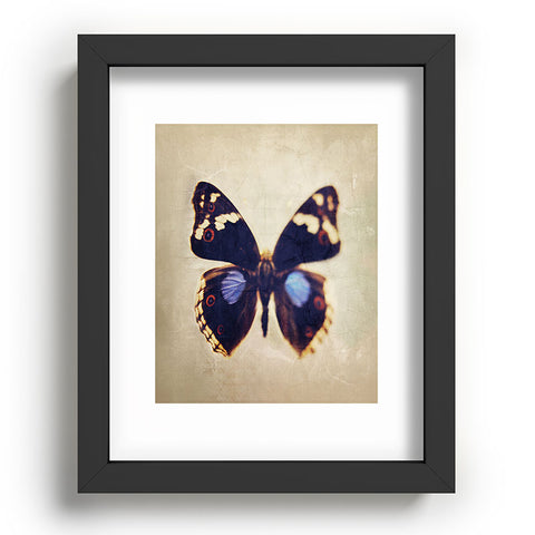 Chelsea Victoria Still Flight Recessed Framing Rectangle