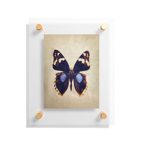 Chelsea Victoria Still Flight Floating Acrylic Print