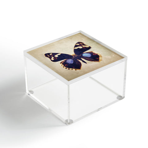 Chelsea Victoria Still Flight Acrylic Box