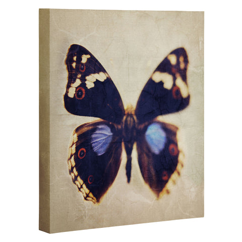 Chelsea Victoria Still Flight Art Canvas