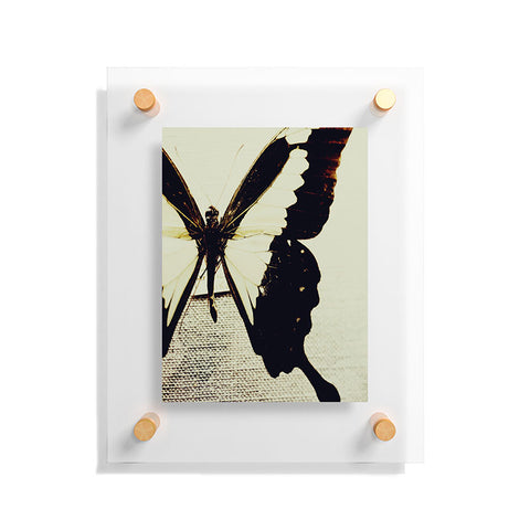 Chelsea Victoria Still Fly Floating Acrylic Print