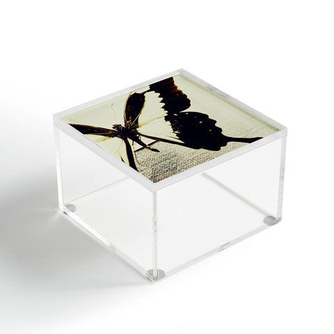 Chelsea Victoria Still Fly Acrylic Box
