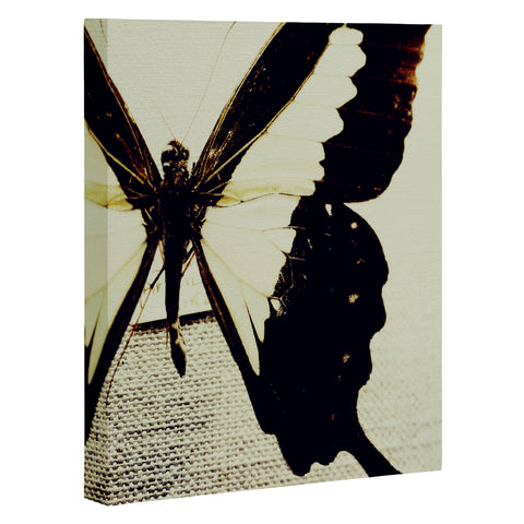 Chelsea Victoria Still Fly Art Canvas