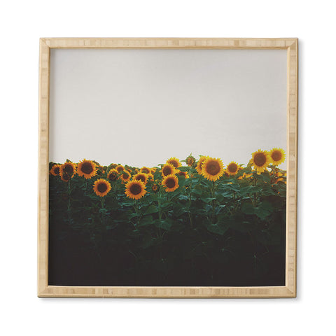 Chelsea Victoria Sunflower Fields Framed Wall Art