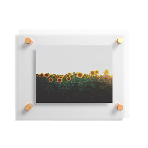 Chelsea Victoria Sunflower Fields Floating Acrylic Print