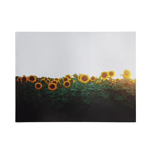 Chelsea Victoria Sunflower Fields Poster