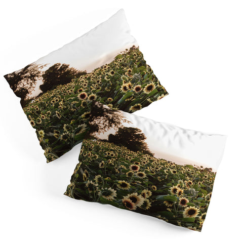 Chelsea Victoria Sunset Sunflowers Pillow Shams