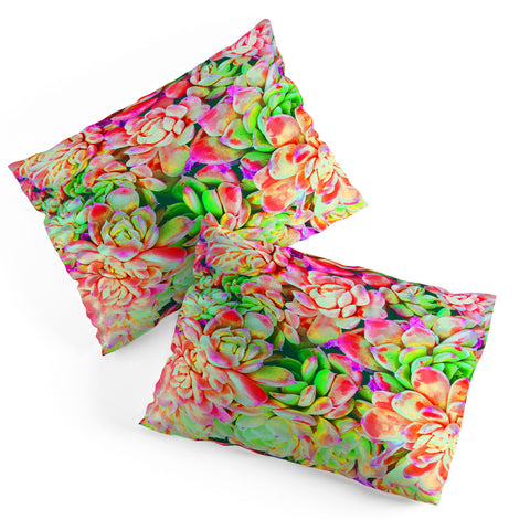 Chelsea Victoria Technicolor Floral Pillow Shams