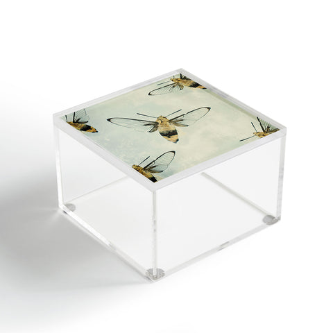 Chelsea Victoria The Beehive Acrylic Box