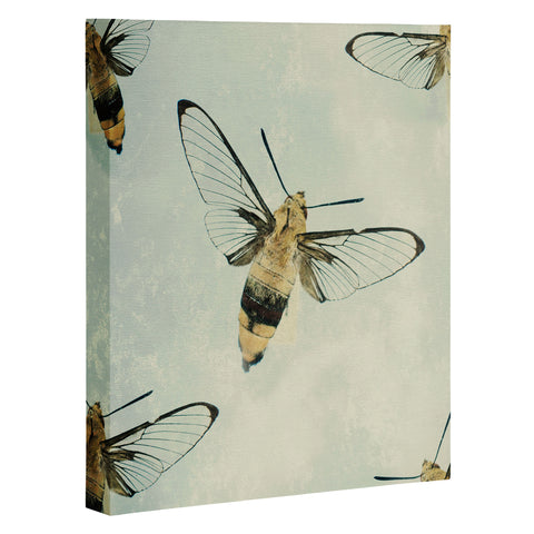 Chelsea Victoria The Beehive Art Canvas
