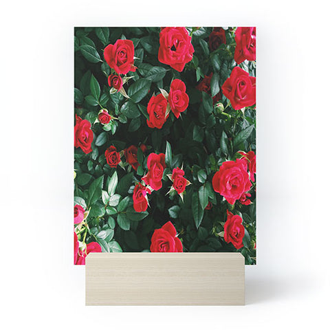 Chelsea Victoria The Bel Air Rose Garden Mini Art Print