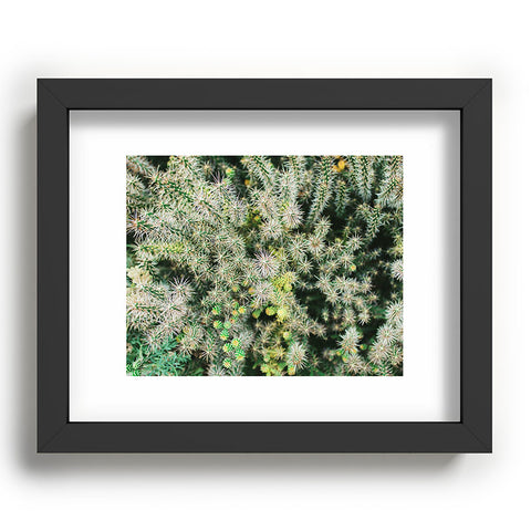 Chelsea Victoria The Cactus Recessed Framing Rectangle