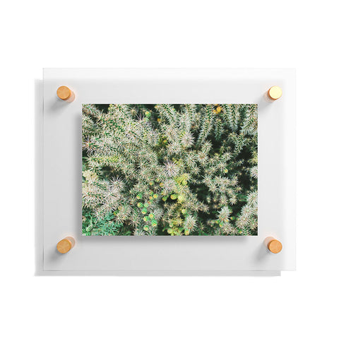 Chelsea Victoria The Cactus Floating Acrylic Print