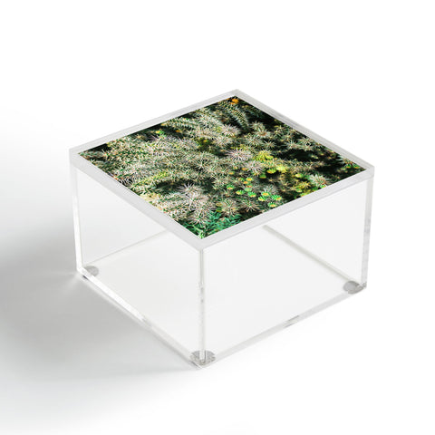 Chelsea Victoria The Cactus Acrylic Box