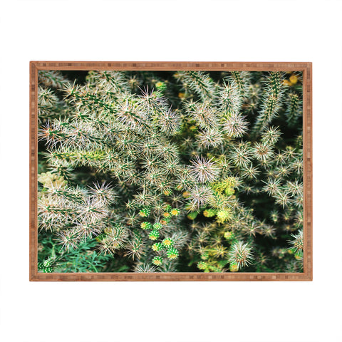 Chelsea Victoria The Cactus Rectangular Tray