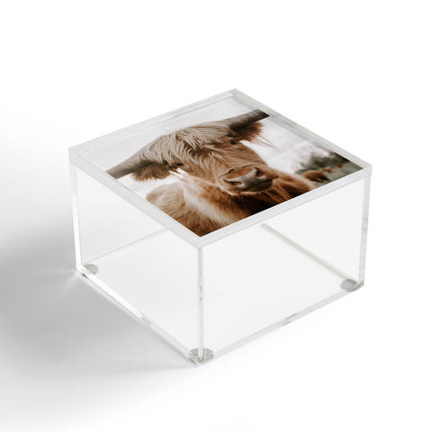 Chelsea Victoria The Curious Cow Acrylic Box