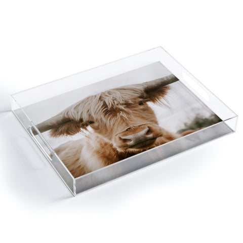 Chelsea Victoria The Curious Cow Acrylic Tray