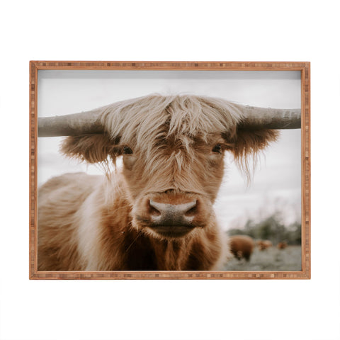 Chelsea Victoria The Curious Cow Rectangular Tray