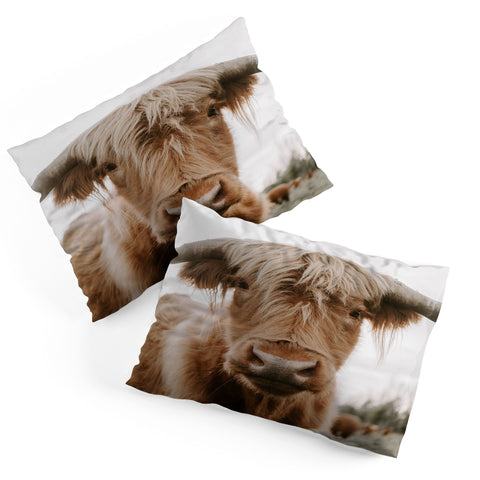 Chelsea Victoria The Curious Cow Pillow Shams