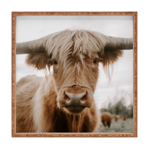 Chelsea Victoria The Curious Cow Square Tray