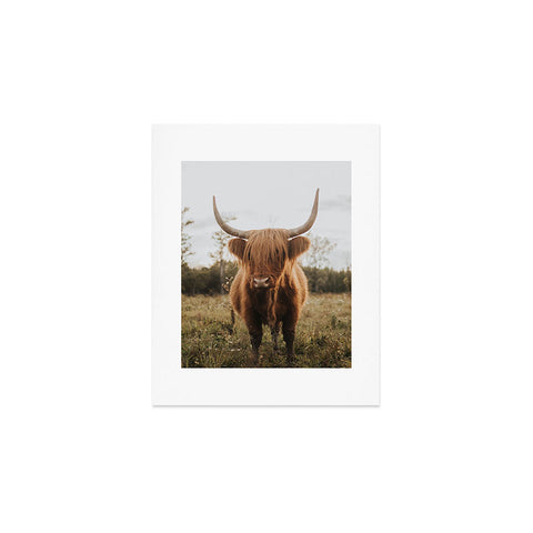 Chelsea Victoria The Curious Highland Cow Art Print