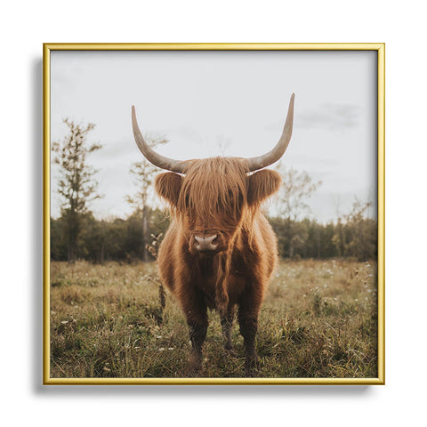 Chelsea Victoria The Curious Highland Cow Square Metal Framed Art Print