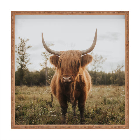 Chelsea Victoria The Curious Highland Cow Square Tray