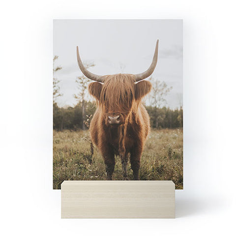 Chelsea Victoria The Curious Highland Cow Mini Art Print