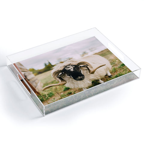 Chelsea Victoria The Curious Sheep Acrylic Tray