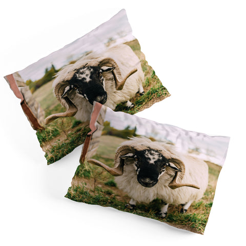 Chelsea Victoria The Curious Sheep Pillow Shams