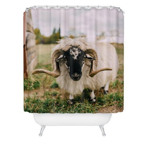 Chelsea Victoria The Curious Sheep Shower Curtain