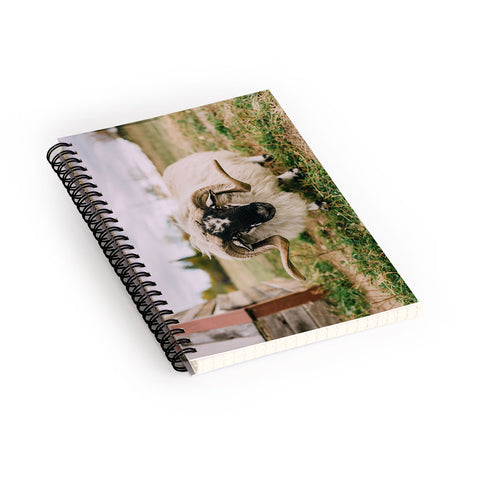 Chelsea Victoria The Curious Sheep Spiral Notebook