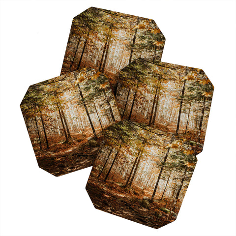 Chelsea Victoria The Forest Floor Coaster Set