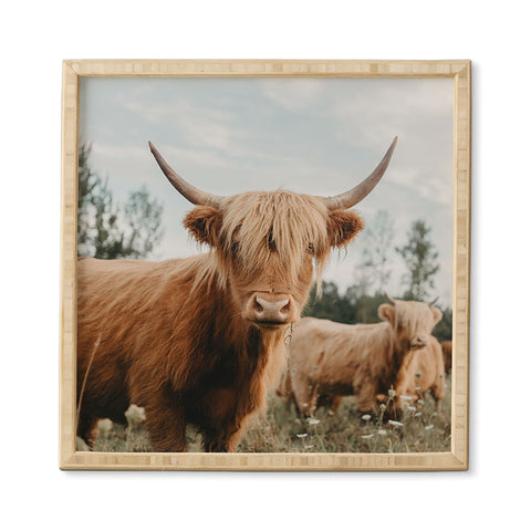 Chelsea Victoria The Furry Highland Cow Framed Wall Art