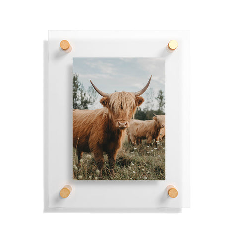 Chelsea Victoria The Furry Highland Cow Floating Acrylic Print