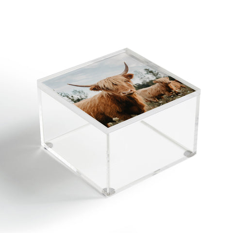 Chelsea Victoria The Furry Highland Cow Acrylic Box