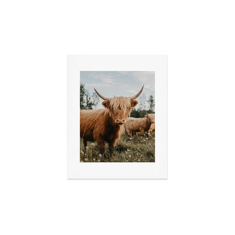 Chelsea Victoria The Furry Highland Cow Art Print
