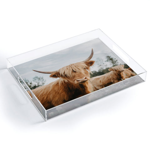 Chelsea Victoria The Furry Highland Cow Acrylic Tray